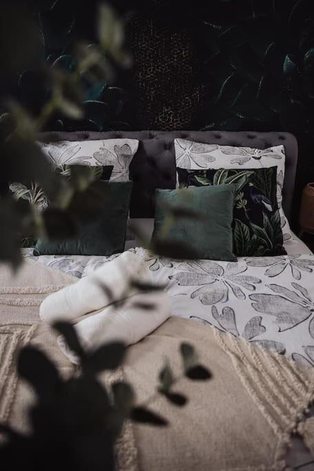 Cozy Dreams: Deluxe 2-zimmer-apartment -kueche Nuremberg